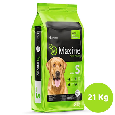 Maxine Senior 21 kg