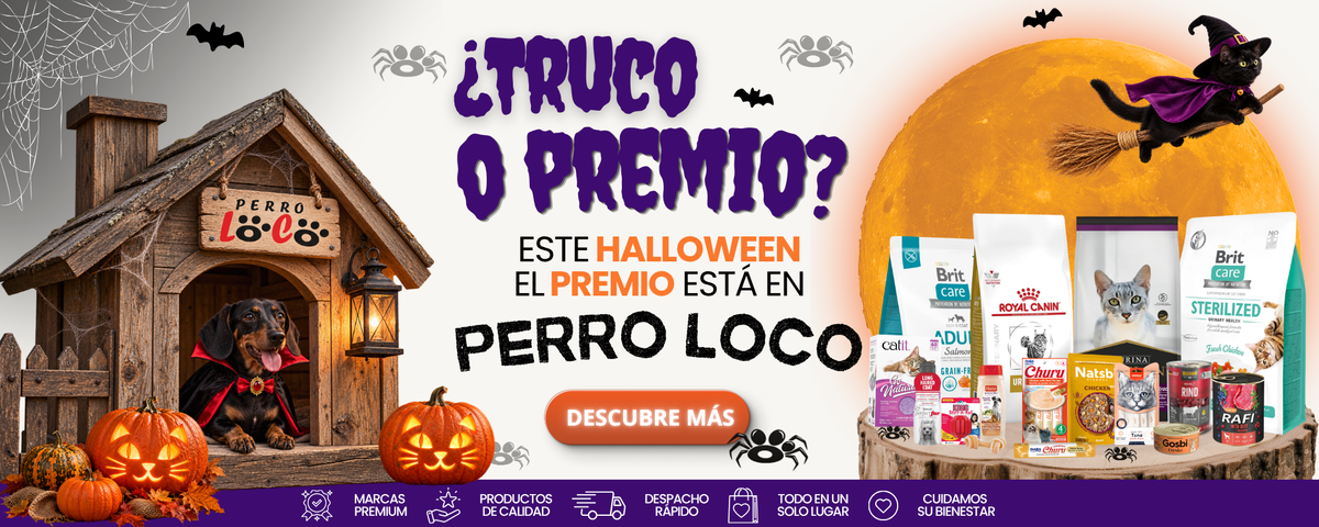 Amamos a quienes nos hacen felices Perro Loco