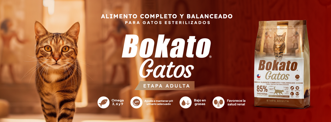 Bokato Gatos: alimento completo y balanceado para gatos esterilizados, etapa adulta