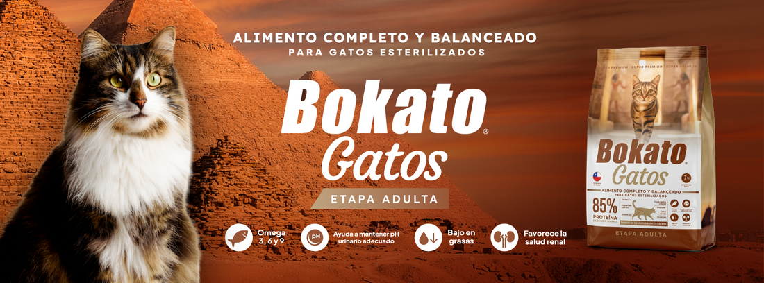 Bokato Gatos: alimento completo y balanceado para gatos esterilizados, etapa adulta