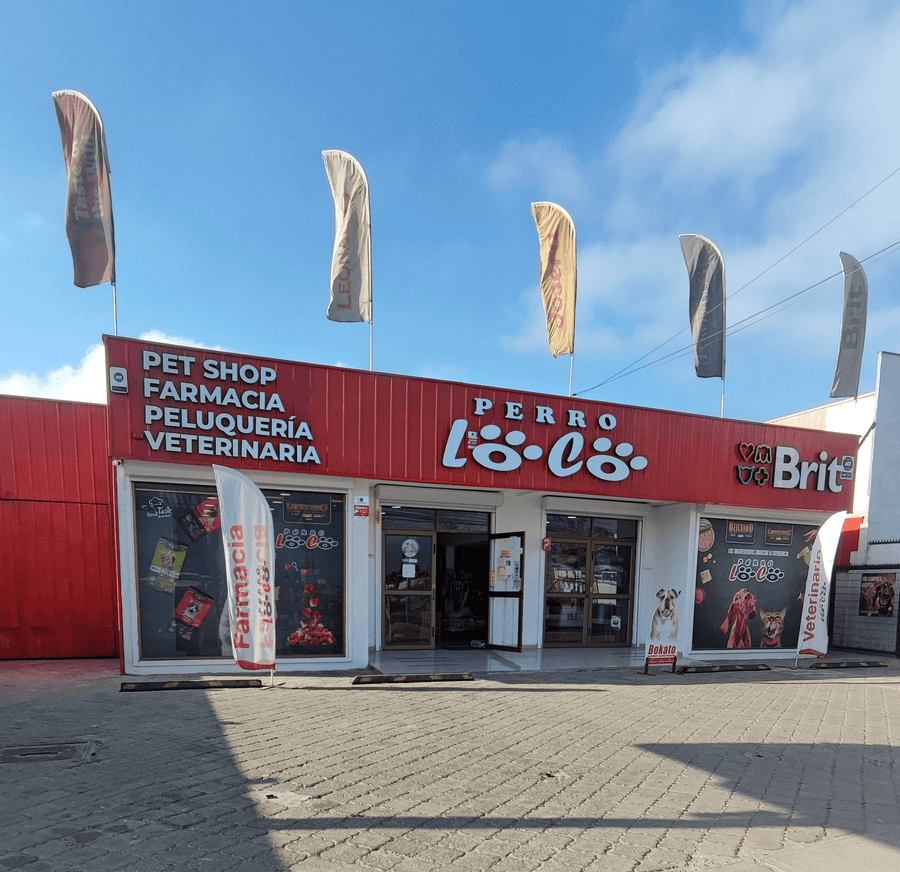 Sucursal Balmaceda de Perro Loco