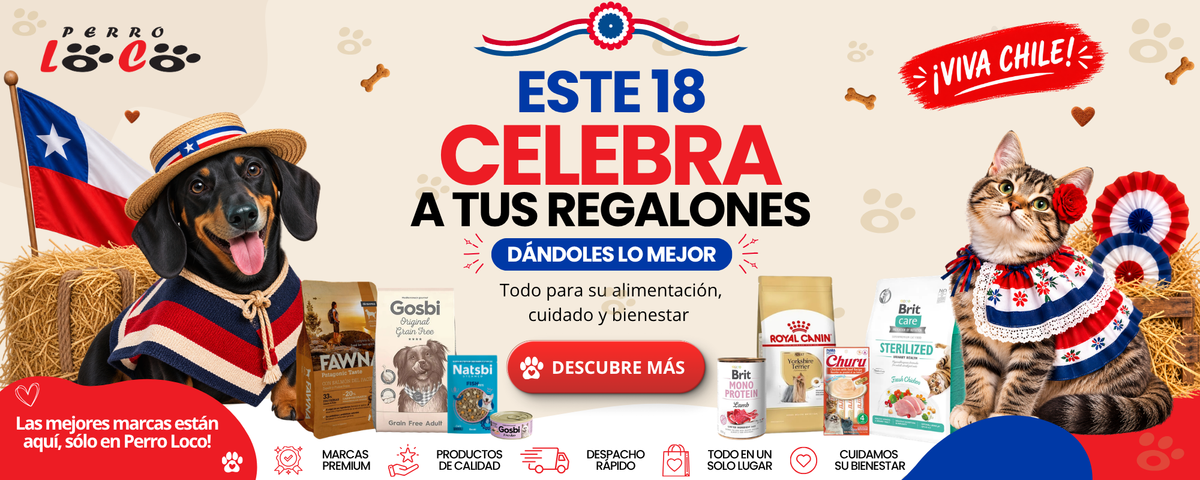 Amamos a quienes nos hacen felices Perro Loco