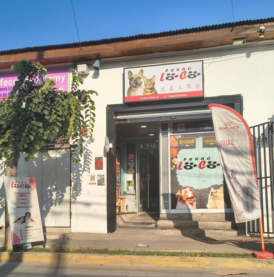Sucursal Colina de Perro Loco