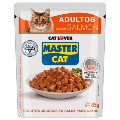 Master Cat Sobre Salmon 85 g