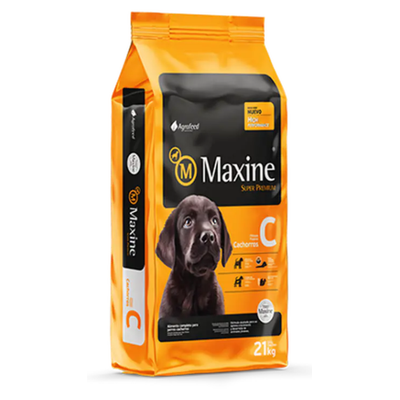 Maxine Cachorro 21 kg