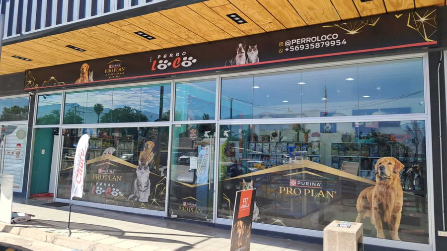 Sucursal San Esteban de Perro Loco